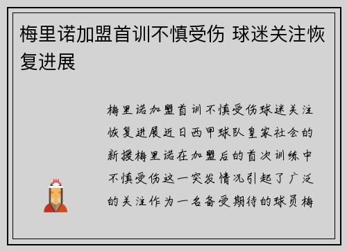 梅里诺加盟首训不慎受伤 球迷关注恢复进展