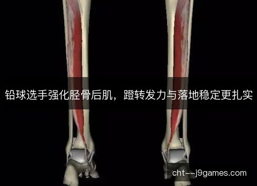 铅球选手强化胫骨后肌，蹬转发力与落地稳定更扎实